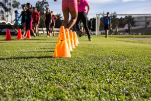 Agility Training Equipment